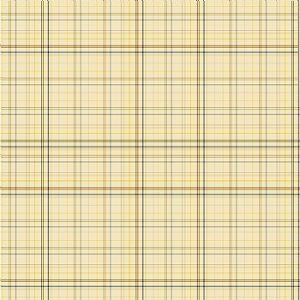 Papel Scrap - Coleção Bebê Safari - Xadrez